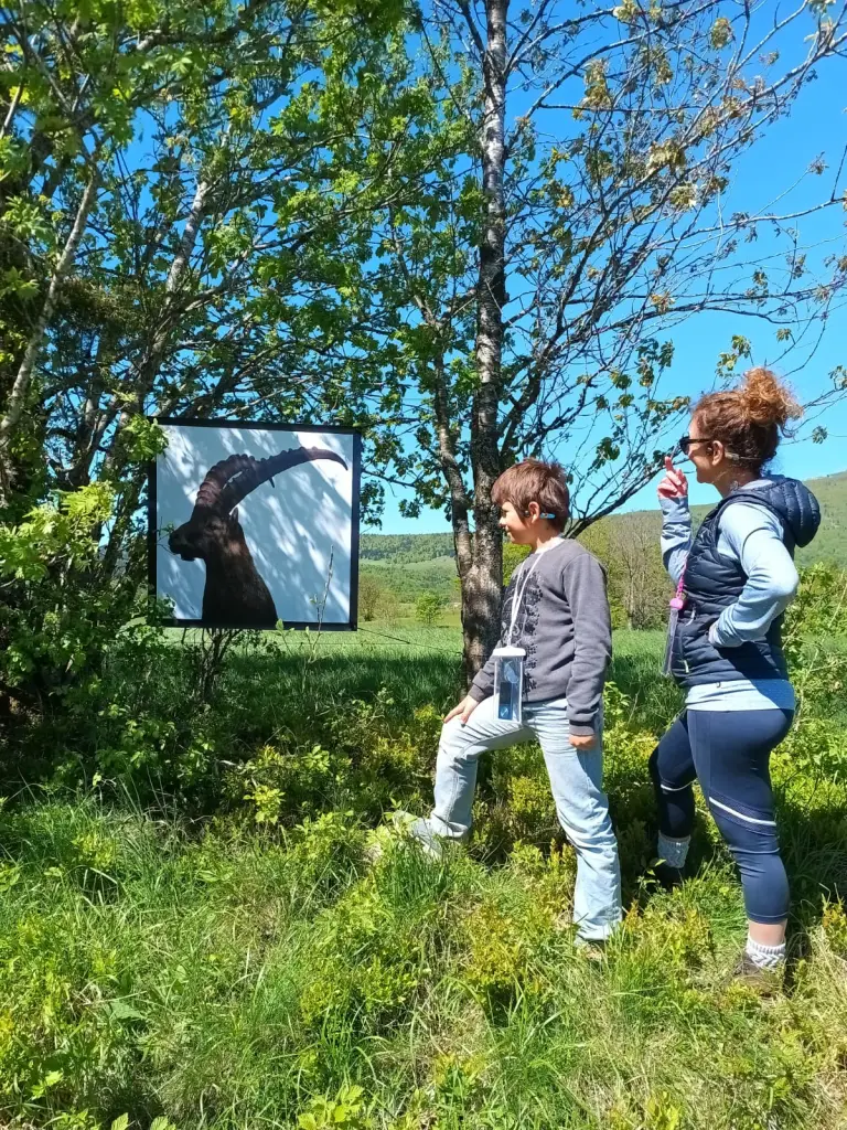 Une des photographies du sentier des saisons