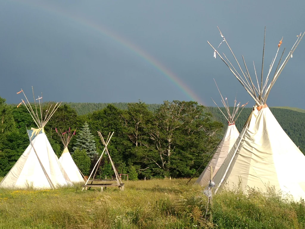 Tipi