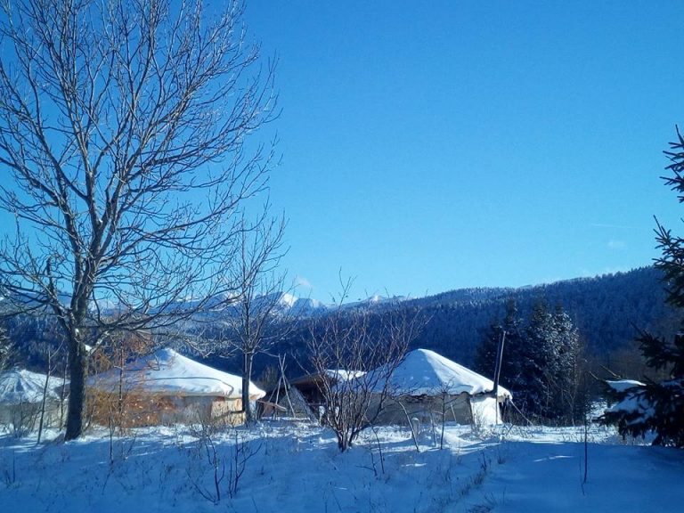 Lire la suite à propos de l’article 6 minutes autour de Base Nature Vercors