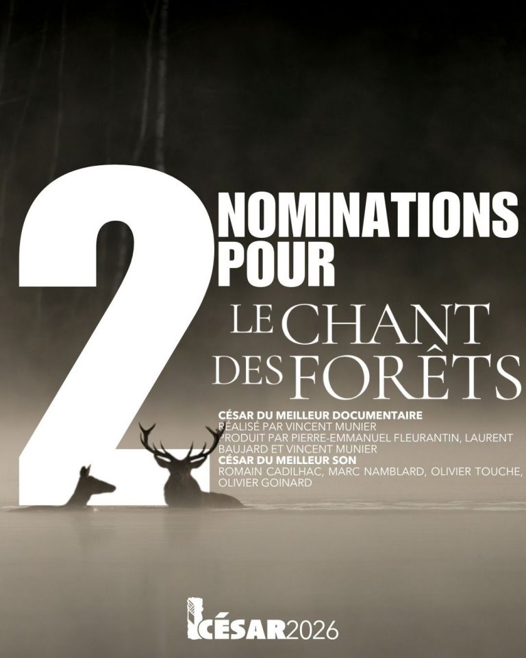 Lire la suite à propos de l’article Le chant des forêts