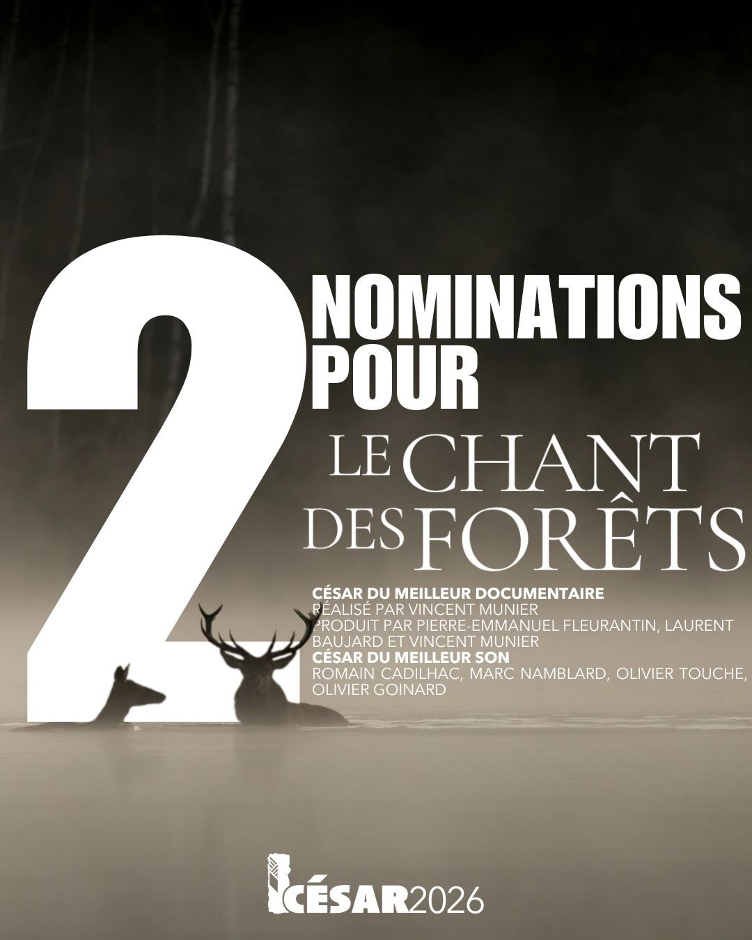 Lire la suite à propos de l’article Le chant des forêts