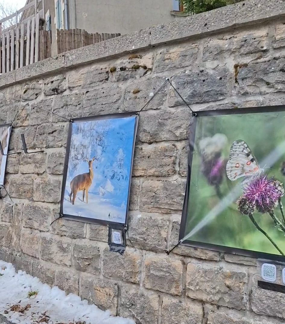 Lire la suite à propos de l’article L&rsquo;expo Voix et Lumière s&rsquo;installe à Vassieux