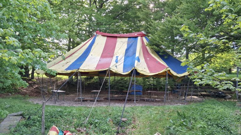 Lire la suite à propos de l’article Les bénévoles à l’œuvre : le camp reprend vie pour l’été 2026
