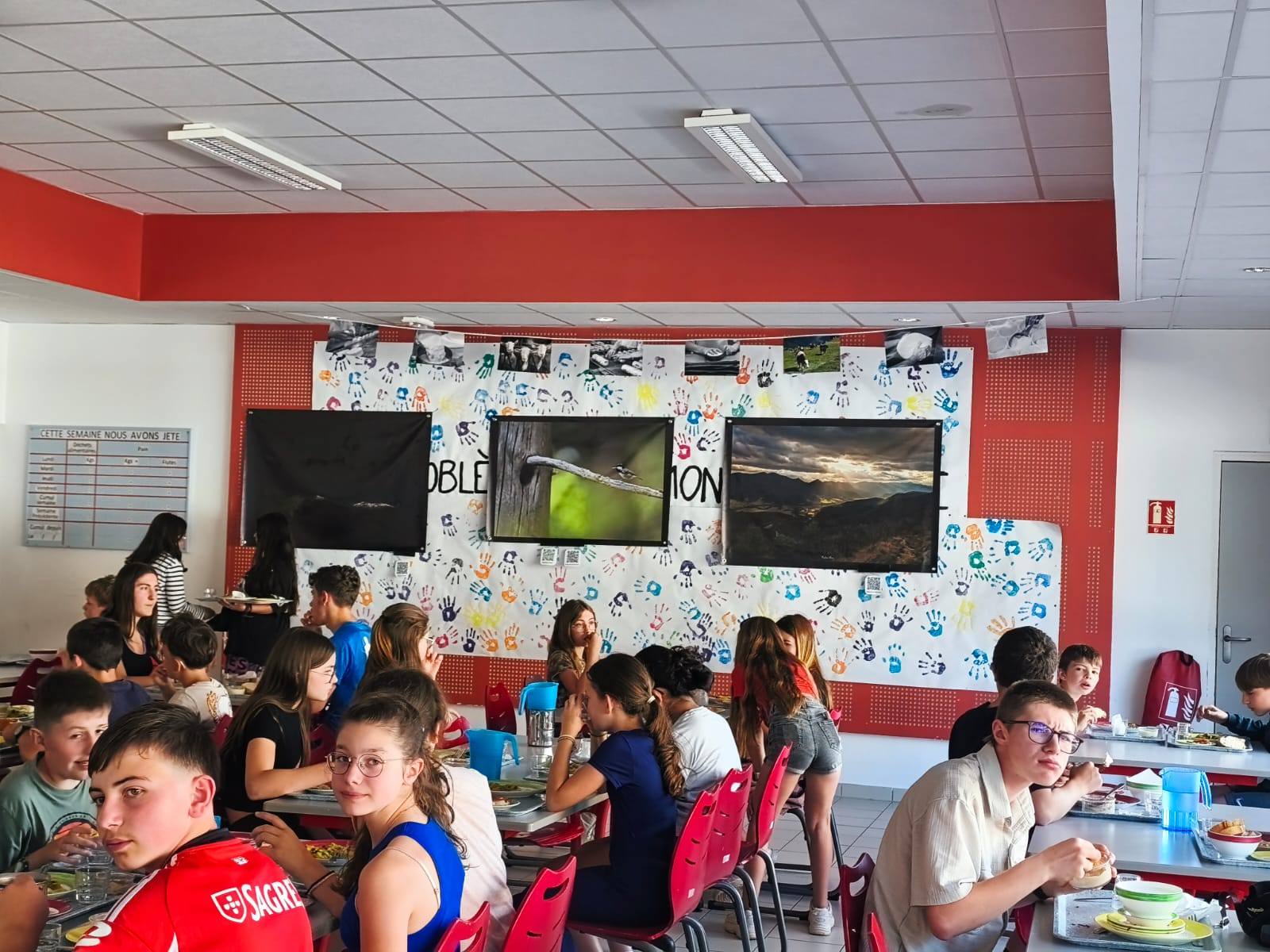Lire la suite à propos de l’article Vercors, Voix et Lumières poursuit sa route !